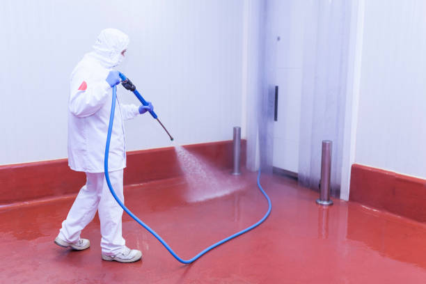 Best Paint Preparation  in Marietta, PA